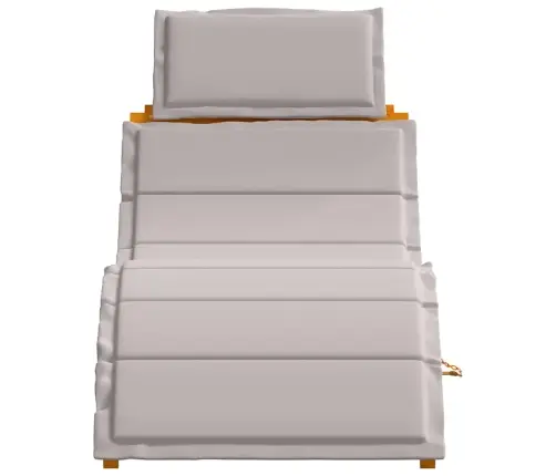 Saulės Gultas Su Pagalve 2-Asmuo 2 Pcs Taupe 184 X 55 X 64Cm