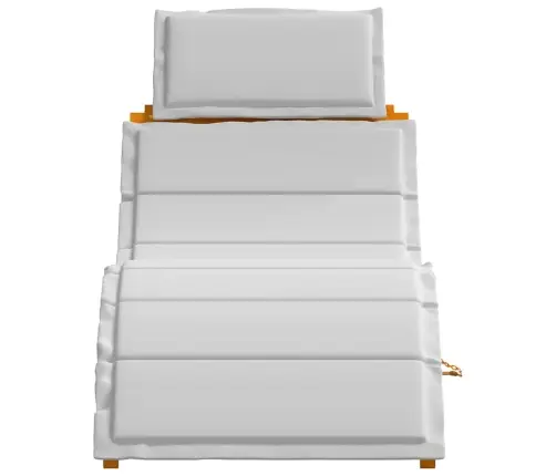 Saulės Gultas Su Pagalve 2 Pcs Šviesiai Pilka 184 X 55 X 64Cm