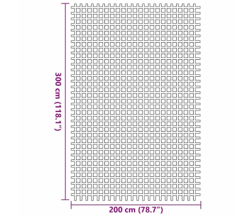 Palapinės Kilimėlis Antracitas 300 X 200 Cm Poliesteris