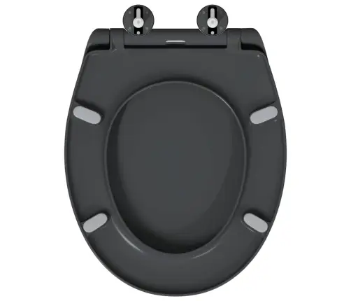 Ātrā Atslēgšana Tualetes Sēdeklis Ar Mīksto Aizvēršanu Duroplast Antracīts Vidaxl