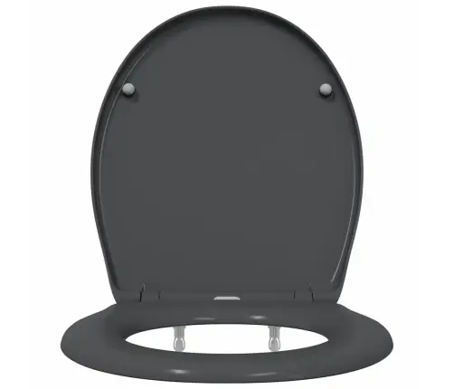 Ātrā Atslēgšana Tualetes Sēdeklis Ar Mīksto Aizvēršanu Duroplast Antracīts Vidaxl