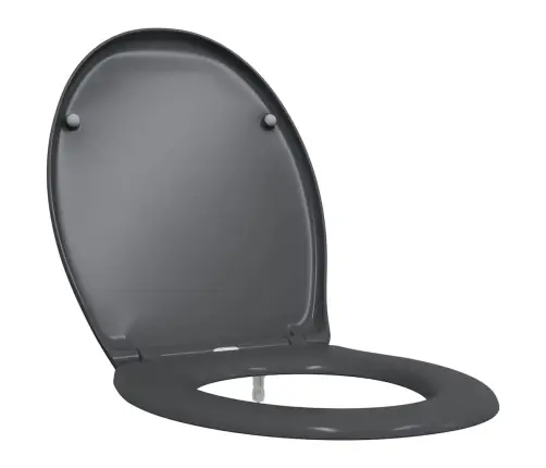 Ātrā Atslēgšana Tualetes Sēdeklis Ar Mīksto Aizvēršanu Duroplast Antracīts Vidaxl