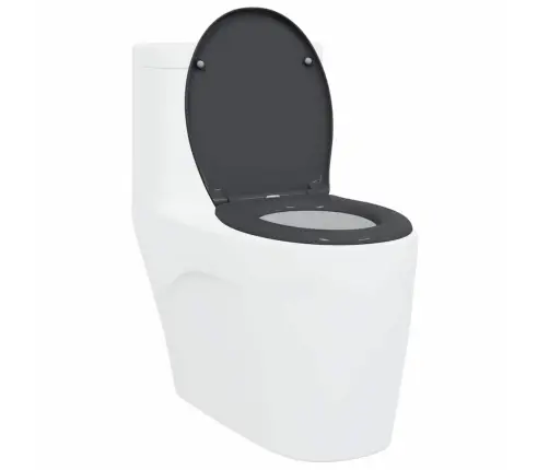 Ātrā Atslēgšana Tualetes Sēdeklis Ar Mīksto Aizvēršanu Duroplast Antracīts Vidaxl