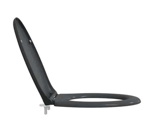 Ātrā Atslēgšana Tualetes Sēdeklis Ar Mīksto Aizvēršanu Duroplast Antracīts Vidaxl