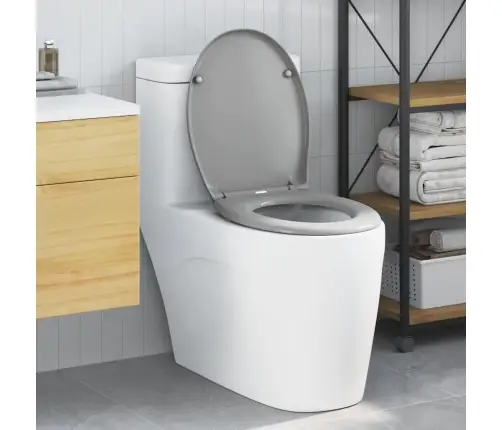 Ātri Noņemama Tualetes Sēdeklis Ar Mīkstu Aizvēršanu Duroplast Pelēks Vidaxl