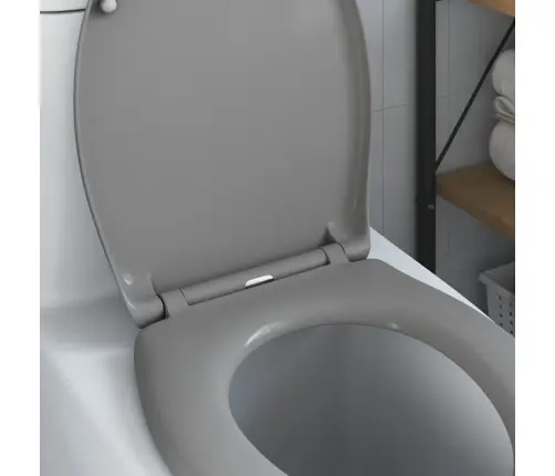 Ātri Noņemama Tualetes Sēdeklis Ar Mīkstu Aizvēršanu Duroplast Pelēks Vidaxl