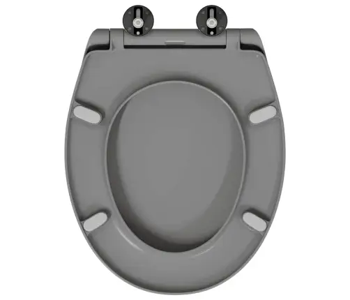 Ātri Noņemama Tualetes Sēdeklis Ar Mīkstu Aizvēršanu Duroplast Pelēks Vidaxl