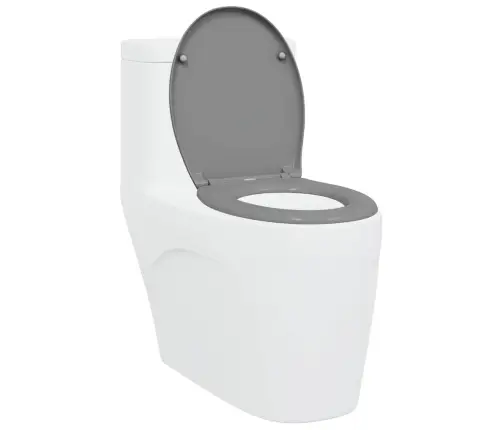 Ātri Noņemama Tualetes Sēdeklis Ar Mīkstu Aizvēršanu Duroplast Pelēks Vidaxl