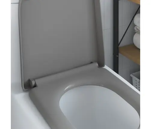 Ātrās Atbrīvošanas Tualetes Sēdeklis Ar Mīkstu Aizvēršanu Duroplast Pelēks Vidaxl