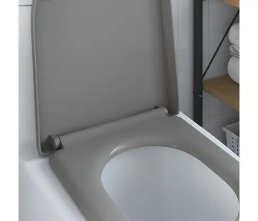 Tualettsari Hall 49 X 36 X 4 Cm Duroplast