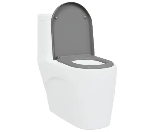 Ātrās Atbrīvošanas Tualetes Sēdeklis Ar Mīkstu Aizvēršanu Duroplast Pelēks Vidaxl