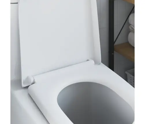 Greito Atleidimo Tualeto Sėdynė Balta 46.2 X 36 X 4.3 Cm