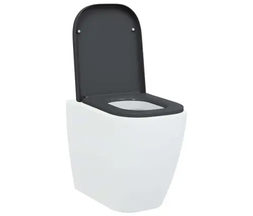 Ātra Atbrīvot Tualetes Sēdeklis Ar Mīksto Aizvēršanos Duroplast Antracīta Krāsā Vidaxl