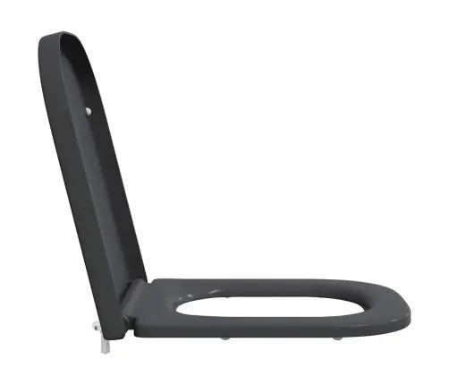 Ātra Atbrīvot Tualetes Sēdeklis Ar Mīksto Aizvēršanos Duroplast Antracīta Krāsā Vidaxl