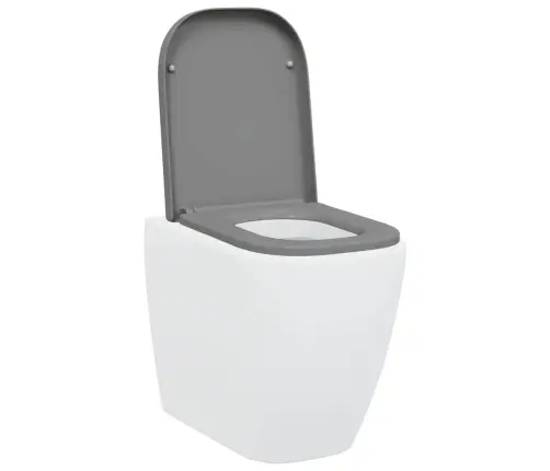 Ātrā Atbrīvošanas Tualetes Sēdeklis Ar Mīksto Aizvēršanu Duroplast Pelēks Vidaxl