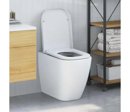 Kiire Vabastamisega Wc-Istmik Valge 44.5 X 35 X 3.6 Cm