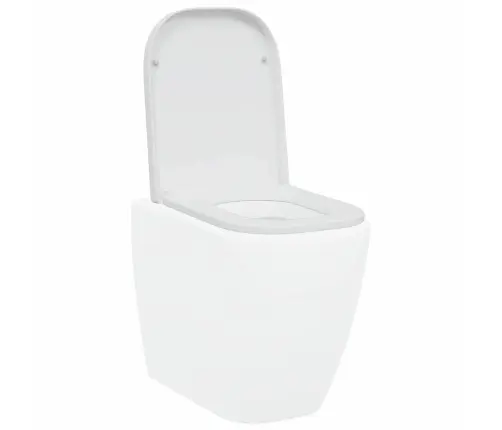 Kiire Vabastamisega Wc-Istmik Valge 44.5 X 35 X 3.6 Cm