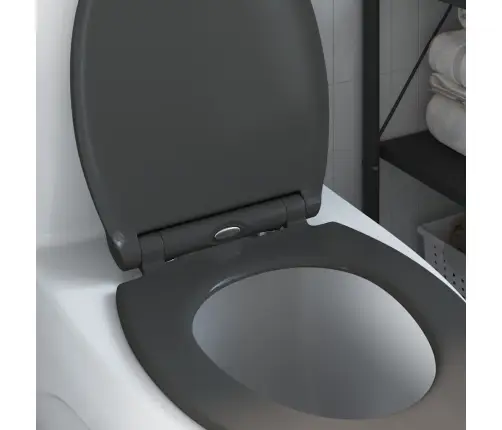 Ātra Izlaišana Tualetes Sēdeklis Ar Mīksto Aizvēršanu Duroplast Antracīts Vidaxl