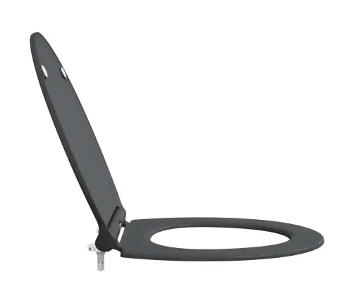 Ātra Izlaišana Tualetes Sēdeklis Ar Mīksto Aizvēršanu Duroplast Antracīts Vidaxl