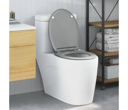 Ātri Noņemamā Tualetes Sēdeklis Ar Mīksto Slēgšanu Duroplast Pelēks Vidaxl