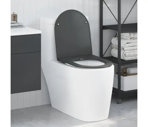 Ātrās Atbrīvošanas Tualetes Sēdeklis Antracīts Vidaxl