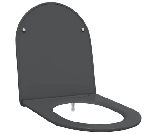 Ātrās Atbrīvošanas Tualetes Sēdeklis Antracīts Vidaxl