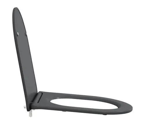 Ātrās Atbrīvošanas Tualetes Sēdeklis Antracīts Vidaxl