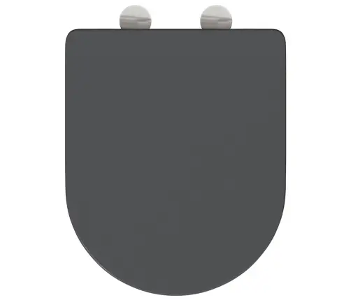 Ātrās Atbrīvošanas Tualetes Sēdeklis Antracīts Vidaxl