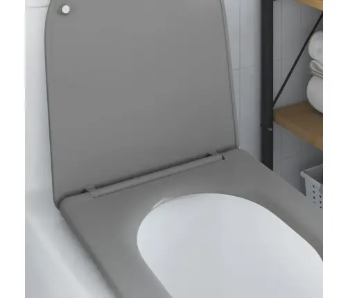 Ātri Atbrīvojama Tualetes Sēdeklis Ar Lēnu Aizvēršanu – Duroplast, Pelēks Vidaxl