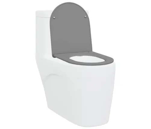 Ātri Atbrīvojama Tualetes Sēdeklis Ar Lēnu Aizvēršanu – Duroplast, Pelēks Vidaxl