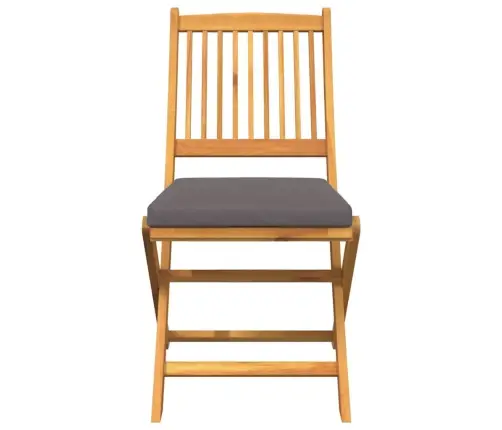 Sulankstoma Kėdė Su Pagalve 4 Pcs Pilka 49 X 57.5 X 92Cm