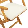 Sulankstoma Kėdė Su Pagalve 4 Pcs Balta 49 X 57.5 X 92Cm