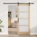 Bīdāmās Durvis Ar Piederumu Komplektu Orkdal86X211 Cm Vidaxl