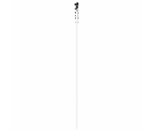 Slankios Durys Balta 73.5 X 211 Cm Medis Ir Metalas