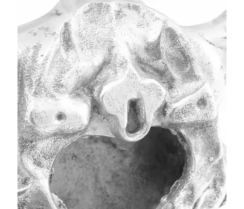 Pulli Kolju Hõbedane 53 X 11 X 40 Cm Alumiinium