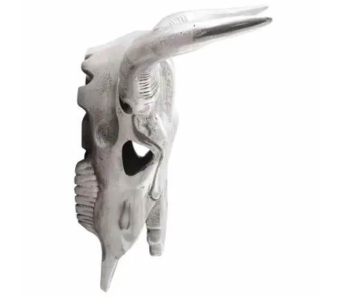 Bulių Kaukolė Sidabro 49 X 10 X 36 Cm Aliuminis