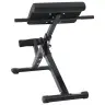 Hiperekstensijas Sols 120 Kg Salokāms Un Regulējams Tērauds Vidaxl