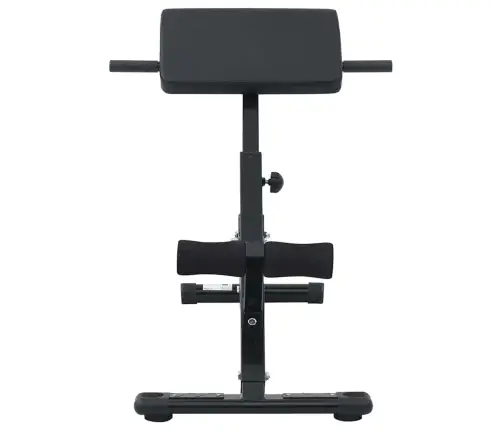 Hiperekstensijas Sols 120 Kg Salokāms Un Regulējams Tērauds Vidaxl