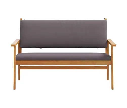 Aiapink Padjaga Antratsiit Tugev Akatsiapuu