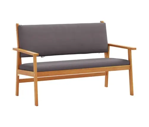 Aiapink Padjaga Antratsiit Tugev Akatsiapuu