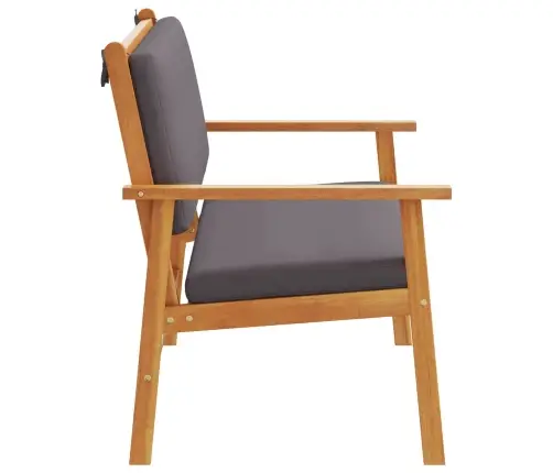 Aiapink Padjaga Antratsiit Tugev Akatsiapuu