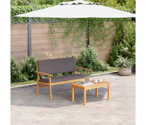 Aia Diivanikomplekt Padjaga 2 Pcs Antratsiit Tugev Akatsiapuu