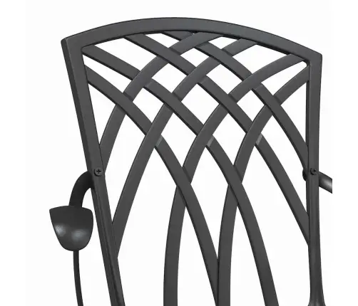 Sodo Kėdė 2 Pcs Juoda 55 X 56.5 X 91Cm Aliuminis