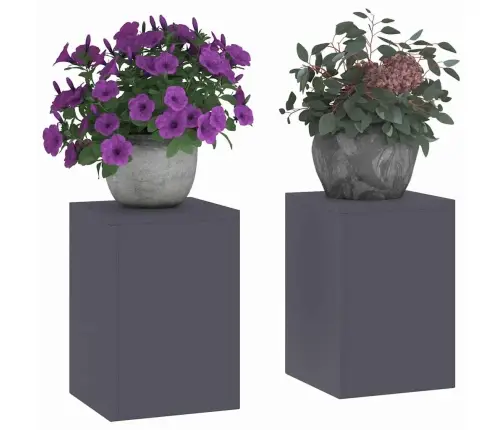 Taimede Toetused 2 Pcs Antratsiit 24 X 24 X 35 Cm Teras