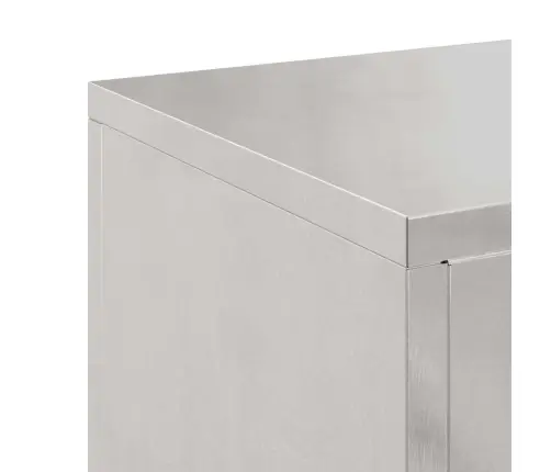 Augalo Stovai 2 Pcs Sidabro 24 X 24 X 55 Cm