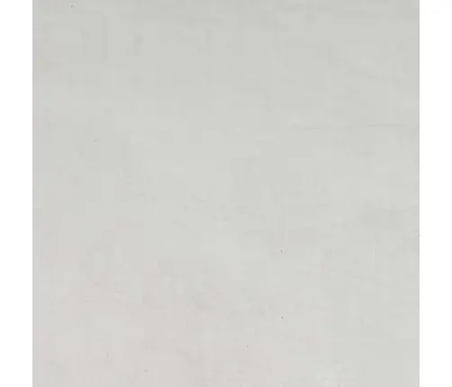 Augalo Stovai 2 Pcs Sidabro 24 X 24 X 55 Cm