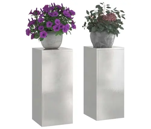 Augalo Stovai 2 Pcs Sidabro 24 X 24 X 55 Cm