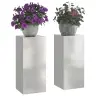 Augalo Stovai 2 Pcs Sidabro 24 X 24 X 55 Cm