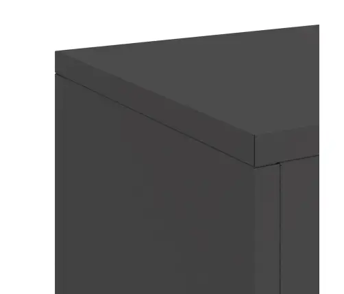 Augalo Stovai 2 Pcs Juoda 24 X 24 X 75 Cm Plienas