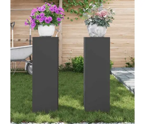 Augalo Stovai 2 Pcs Juoda 24 X 24 X 75 Cm Plienas